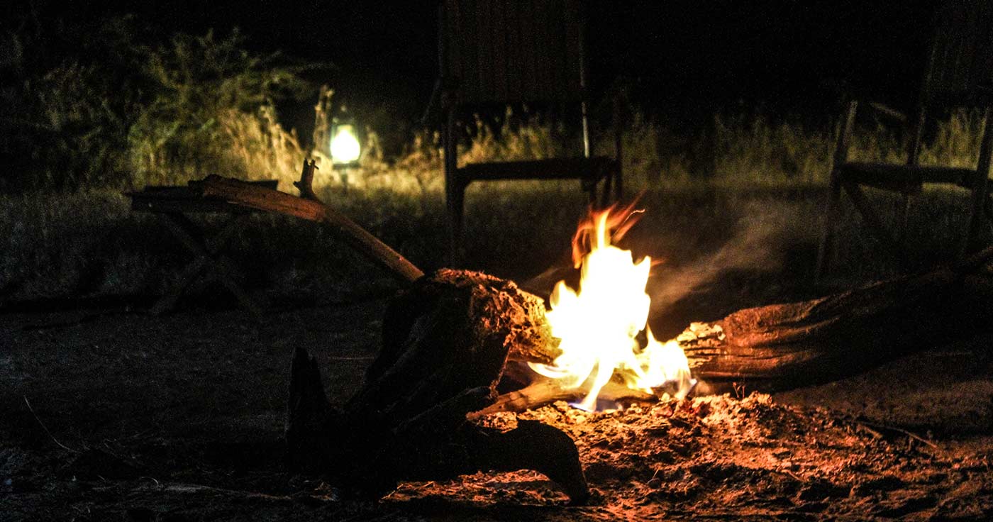Campfire under the Serengeti stars