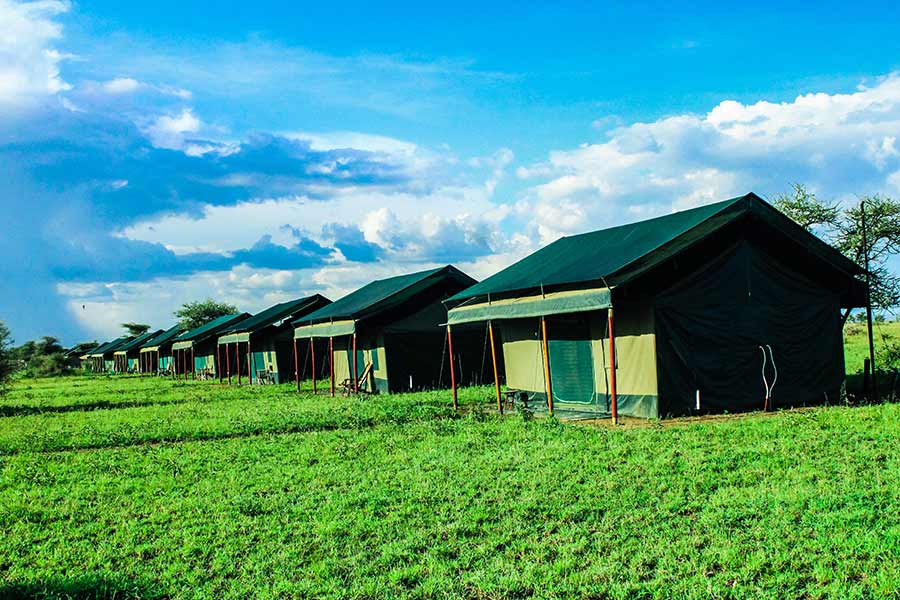 Planning safari