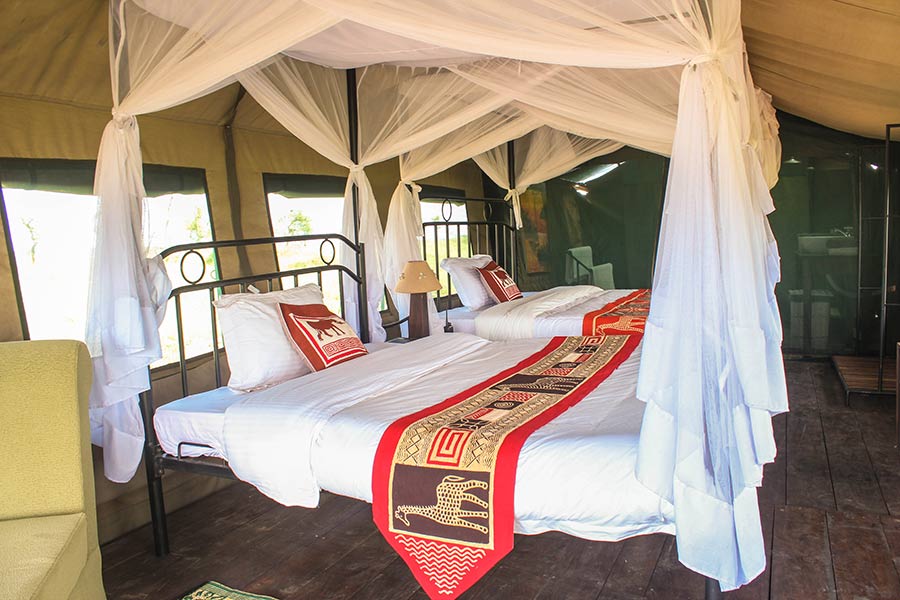 Game drive in lion territory
