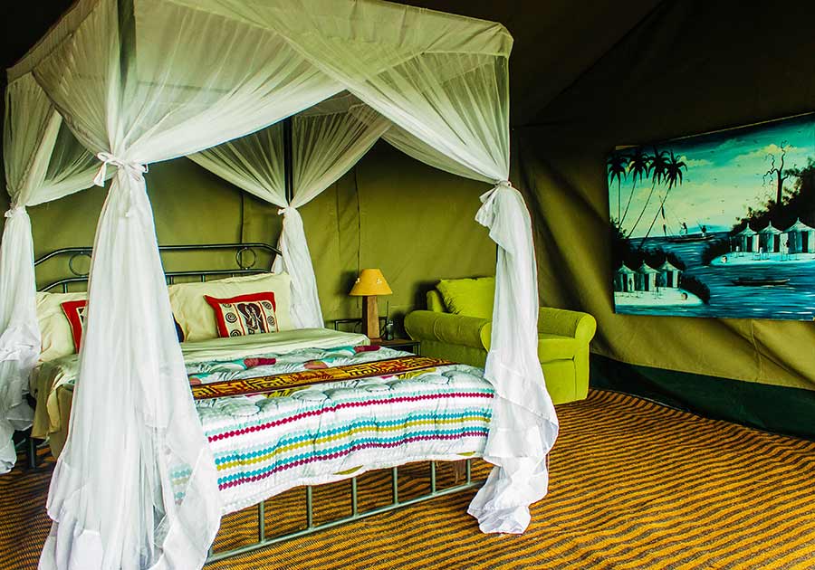 Panoramic view of the Serengeti landscape, ideal birding territory
